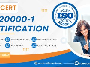 ISO 20000-1 Certification Services in Phoenix