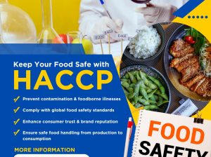 HACCP Consultants in Dubai
