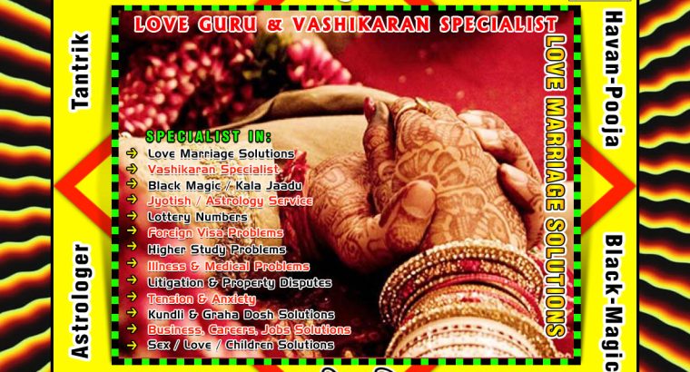 Pandit Deepak Kumar Astrologer